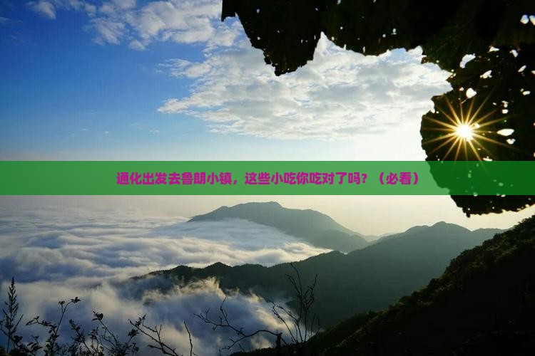 通化去西藏鲁朗小镇旅游小吃 通化去西藏鲁朗小镇旅游小吃