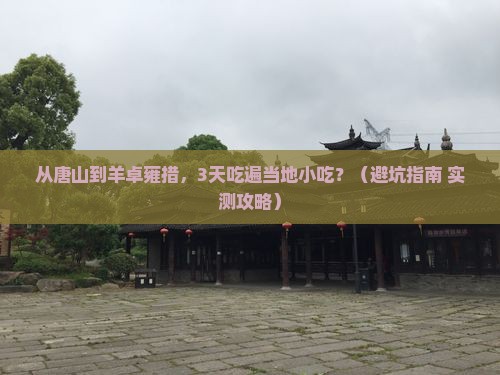 唐山去西藏羊卓雍措旅游小吃