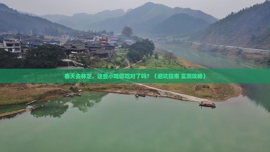 春天到西藏林芝旅游小吃