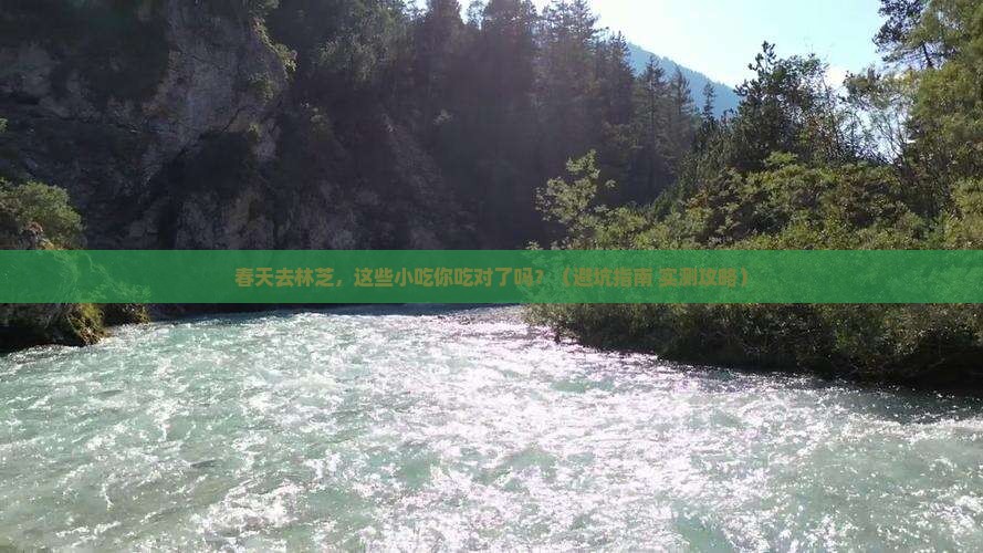 春天到西藏林芝旅游小吃