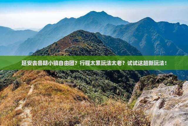 延安去西藏鲁朗小镇自由团