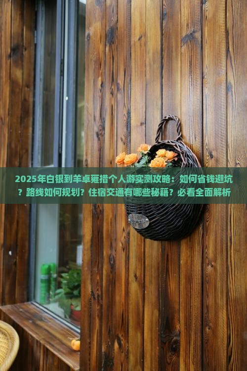 白银到西藏羊卓雍措个人游