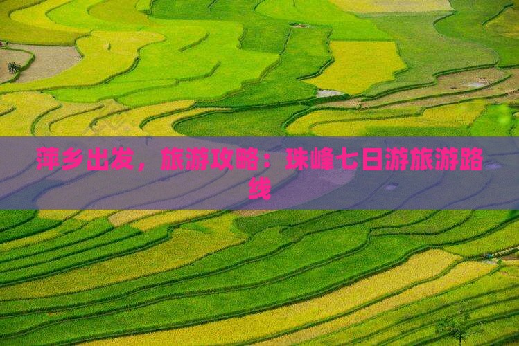 萍乡到西藏珠峰大本营七日游