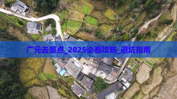 广元去西藏景点