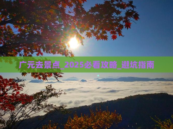 广元去西藏景点