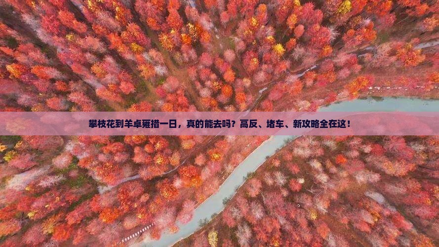 攀枝花到西藏羊卓雍措一日
