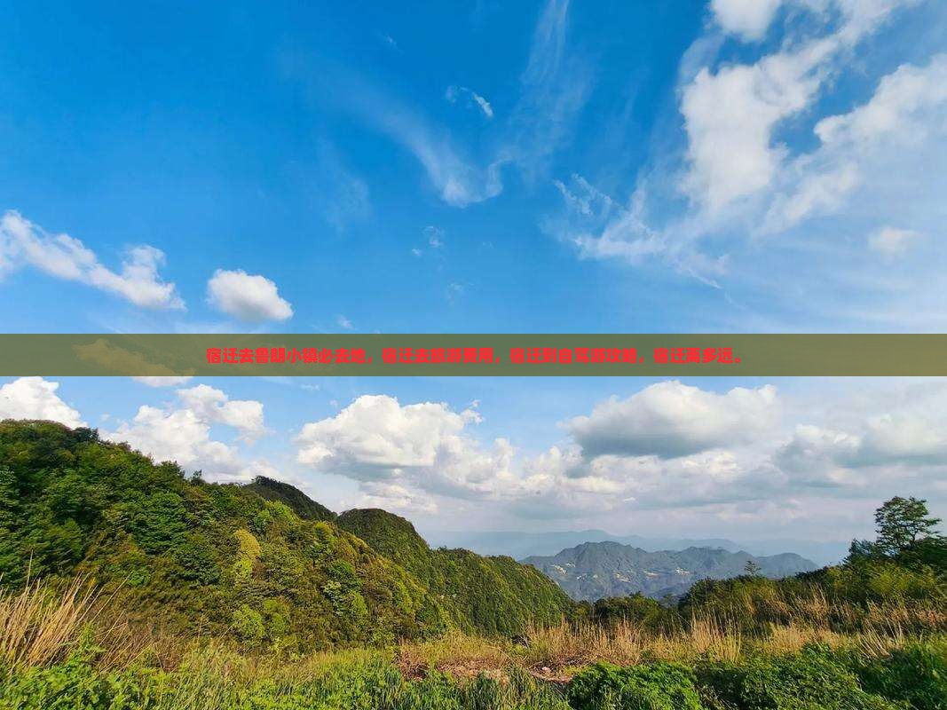 宿迁去西藏鲁朗小镇必去地