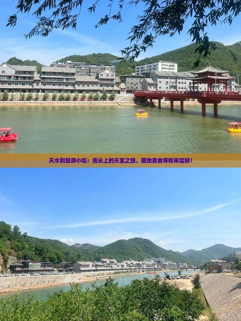 天水到西藏旅游小吃