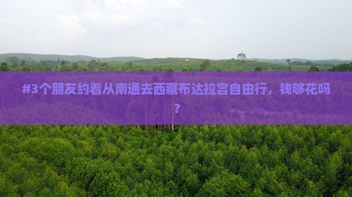 南通去西藏布达拉宫自由行