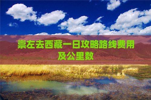 崇左去西藏一日