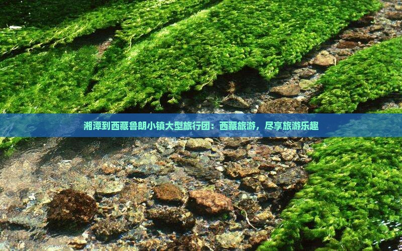 湘潭到西藏鲁朗小镇大型旅游团