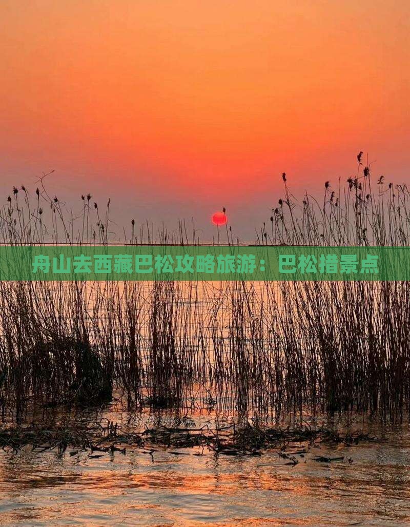 舟山去西藏巴松措景点