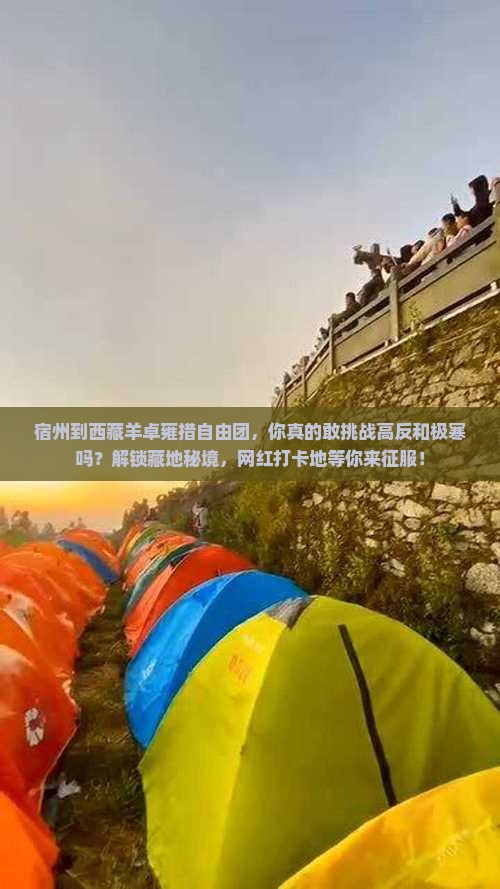 宿州到西藏羊卓雍措自由团