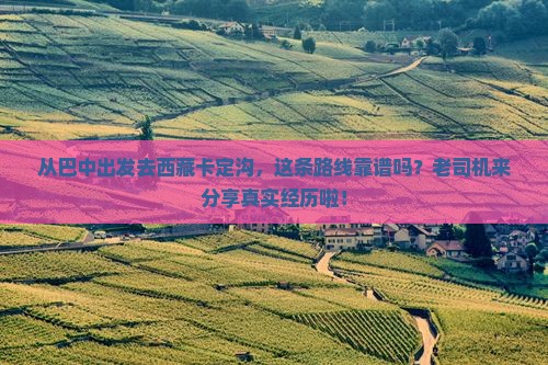 巴中到西藏卡定沟攻略