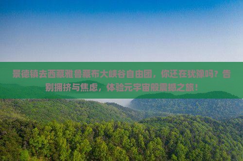 景德镇去西藏雅鲁藏布大峡谷自由团