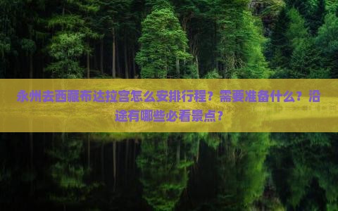 永州去西藏布达拉宫哪里玩