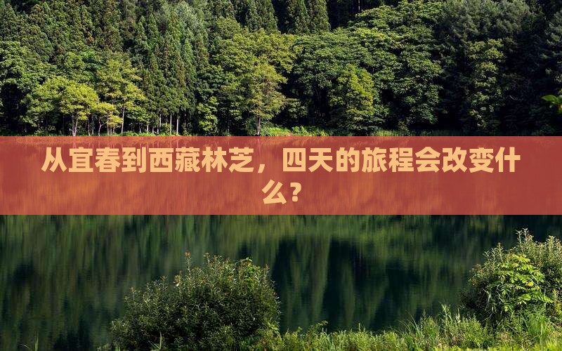 宜春去西藏林芝四日游