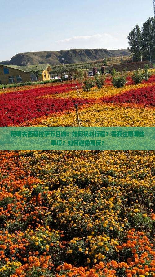 昆明去西藏拉萨五日游