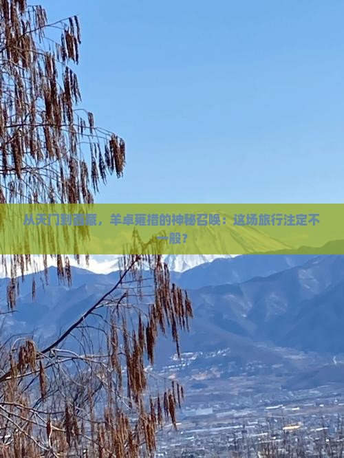 天门去西藏羊卓雍措大型旅游团 天门去西藏羊卓雍措大型旅游团
