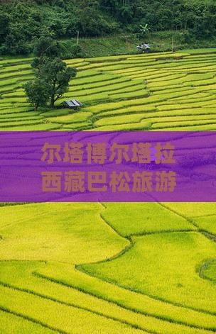 博尔塔拉去西藏巴松措自由团