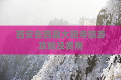 西安去西藏大昭寺门票