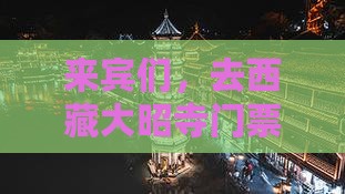 来宾去西藏大昭寺门票