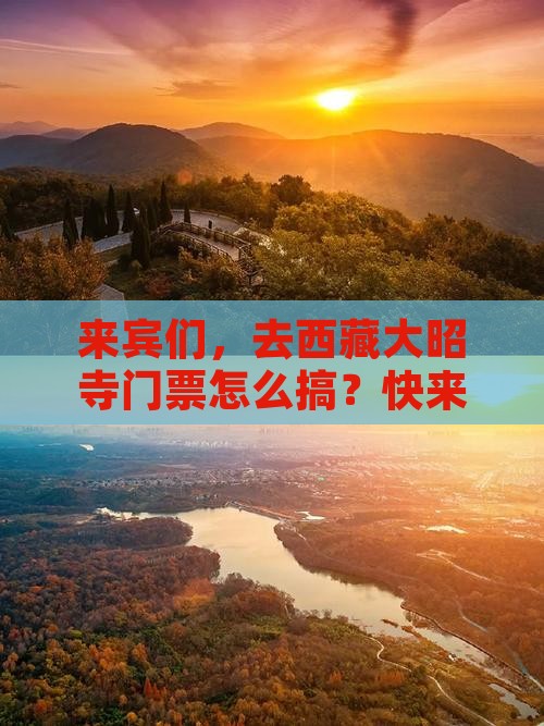 来宾去西藏大昭寺门票