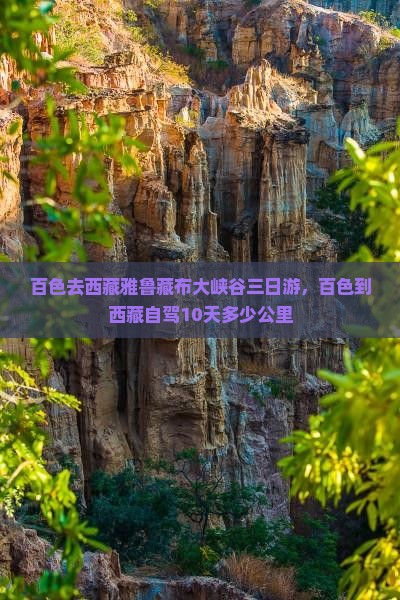 百色去西藏雅鲁藏布大峡谷三日游
