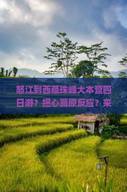 怒江到西藏珠峰大本营四日游