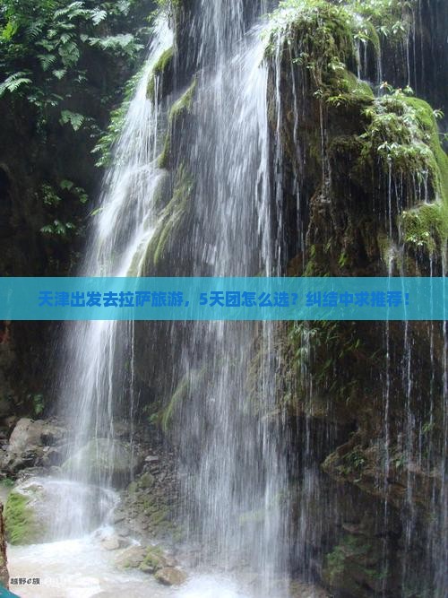 天津去西藏拉萨团体旅游