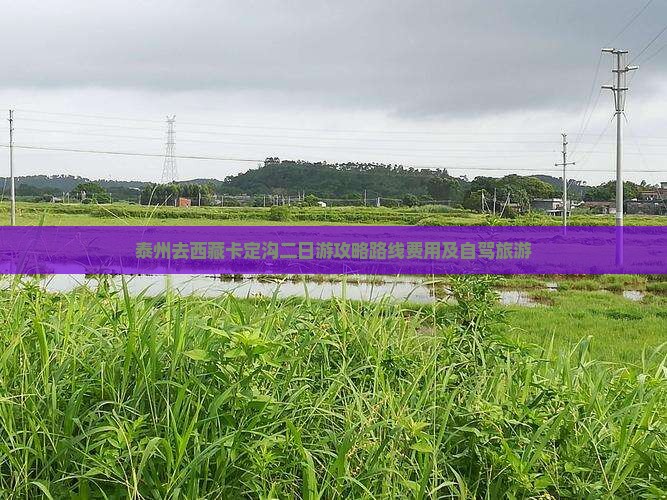 泰州去西藏卡定沟二日游