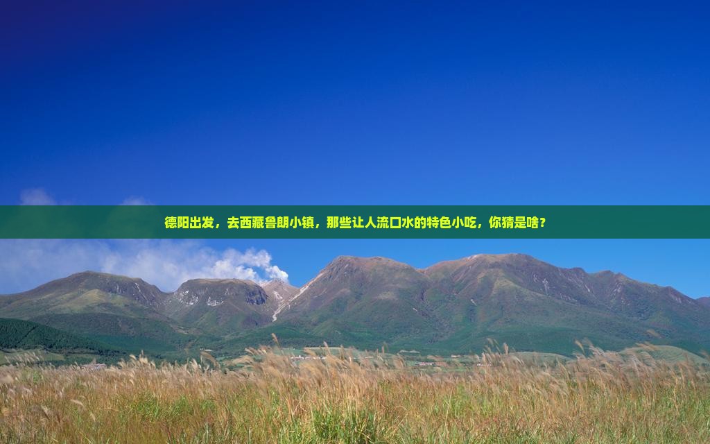 德阳去西藏鲁朗小镇旅游小吃