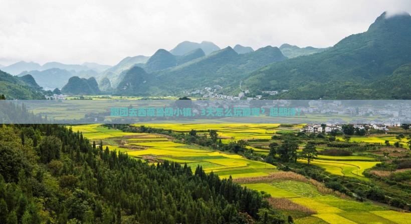 三月到西藏鲁朗小镇团体旅游