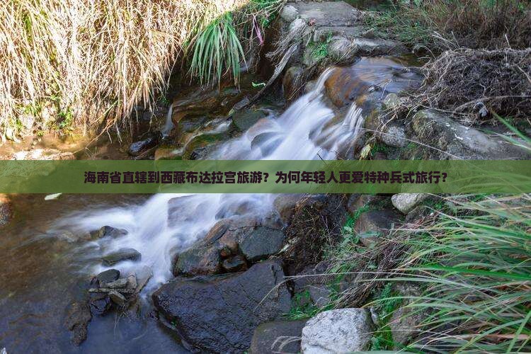 海南省直辖到西藏布达拉宫旅游