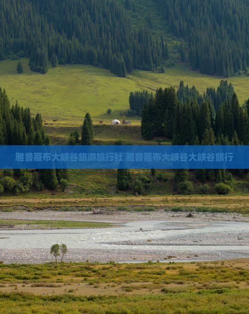 巴音郭楞去西藏雅鲁藏布大峡谷旅行社