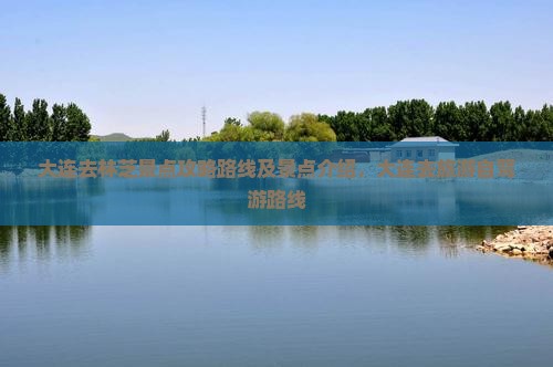 大连去西藏林芝景点
