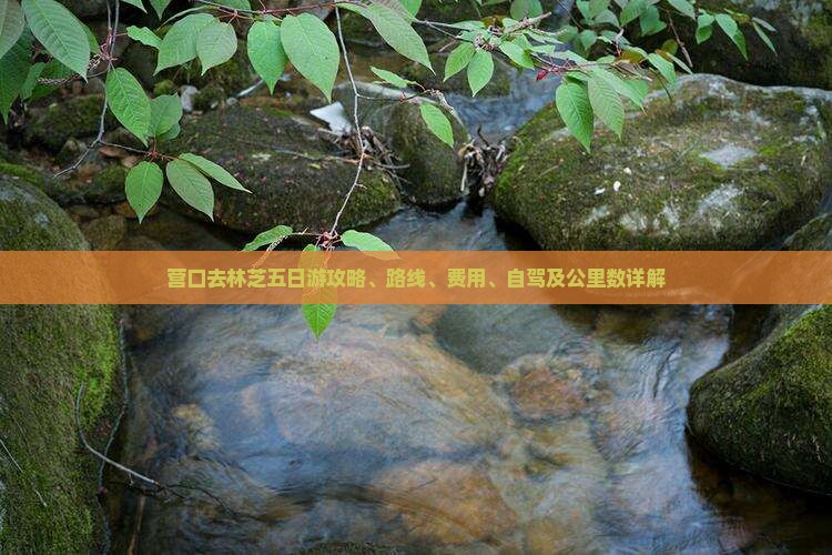 营口去西藏林芝五日游