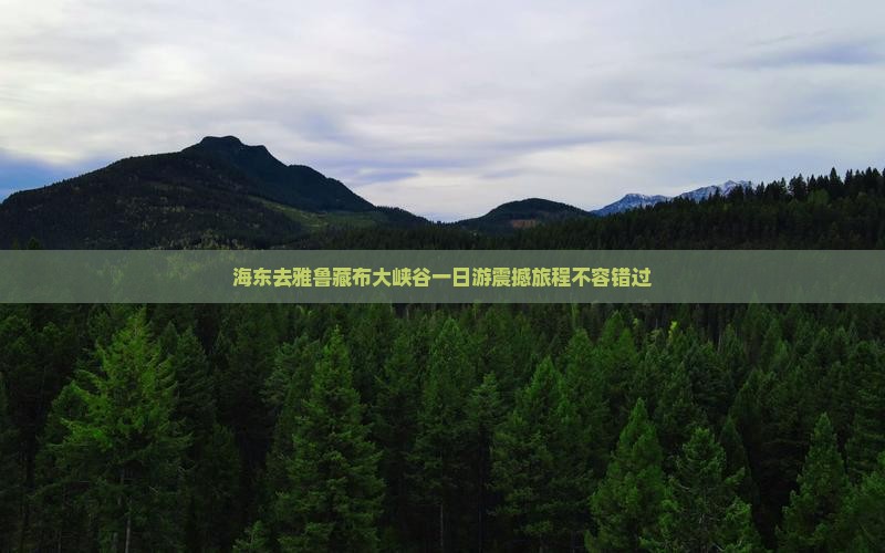 海东去西藏雅鲁藏布大峡谷一日