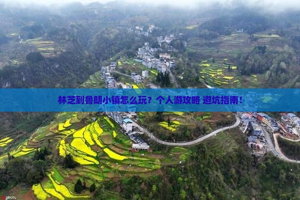 林芝到西藏鲁朗小镇个人游