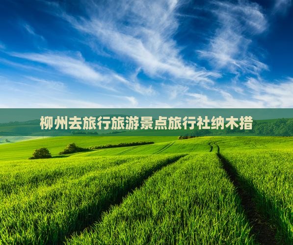 柳州去西藏纳木措旅行社