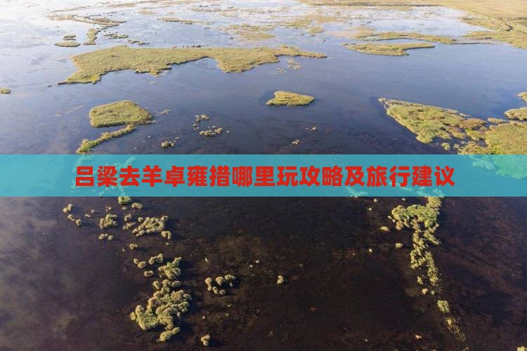 吕梁去西藏羊卓雍措哪里玩