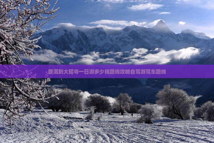 普洱到西藏大昭寺一日