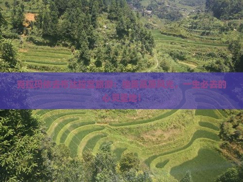克拉玛依去西藏布达拉宫旅游