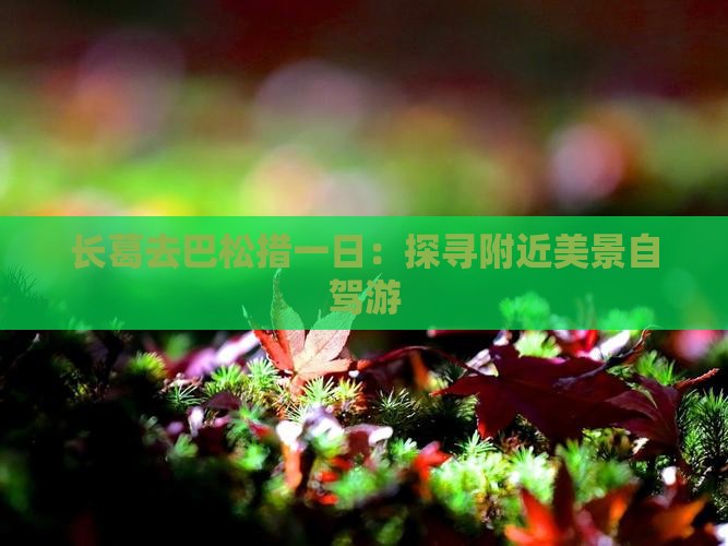 长葛去巴松措一日：探寻附近美景自驾游
