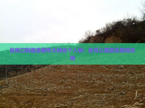 张家口到雅鲁藏布大峡谷个人游：自驾公里数及路线攻略