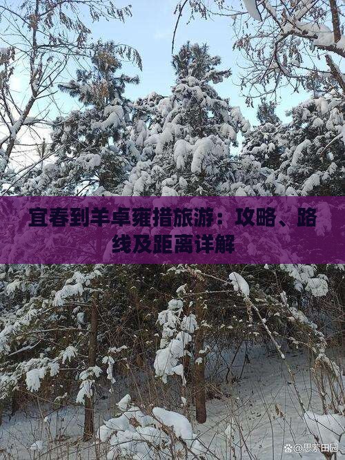 宜春到羊卓雍措旅游：攻略、路线及距离详解