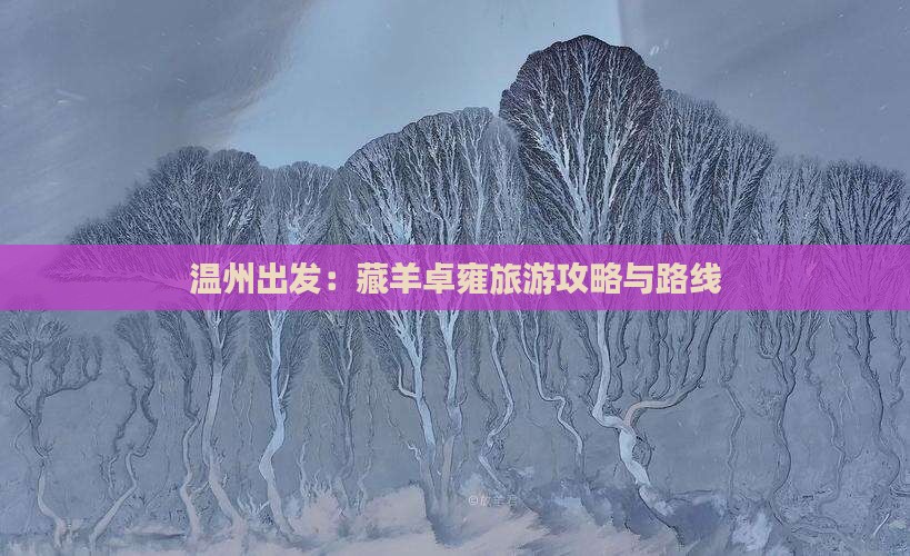 温州出发：藏羊卓雍旅游攻略与路线