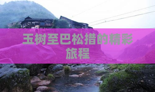 玉树至巴松措的精彩旅程