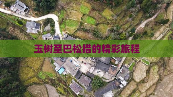 玉树至巴松措的精彩旅程