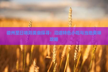 德州至日喀则美食探寻：沿途特色小吃与当地美味攻略